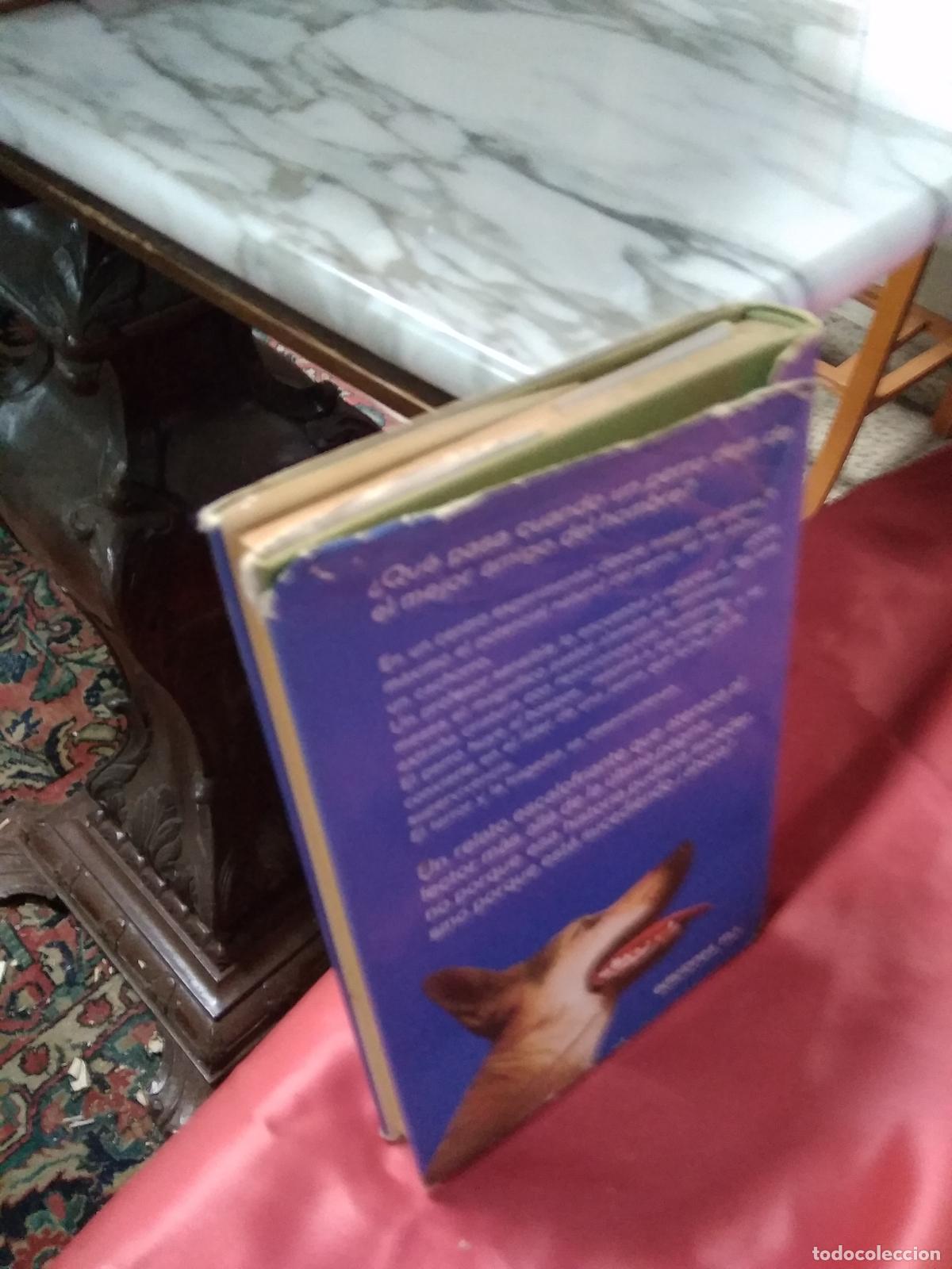 Libros: Los perros Robert Calder L.28105-502 - Foto 3