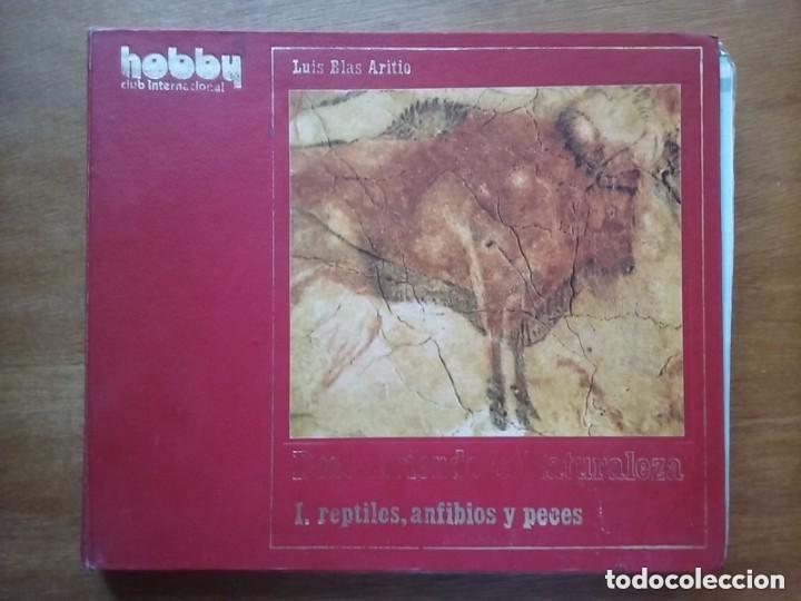 B&uuml;cher: DESCUBRIENDO LA NATURALEZA, REPTILES ANFIBIOS Y PECES, HOBBY CLUB INTERNACIONAL LARFE EDICIONES 1973