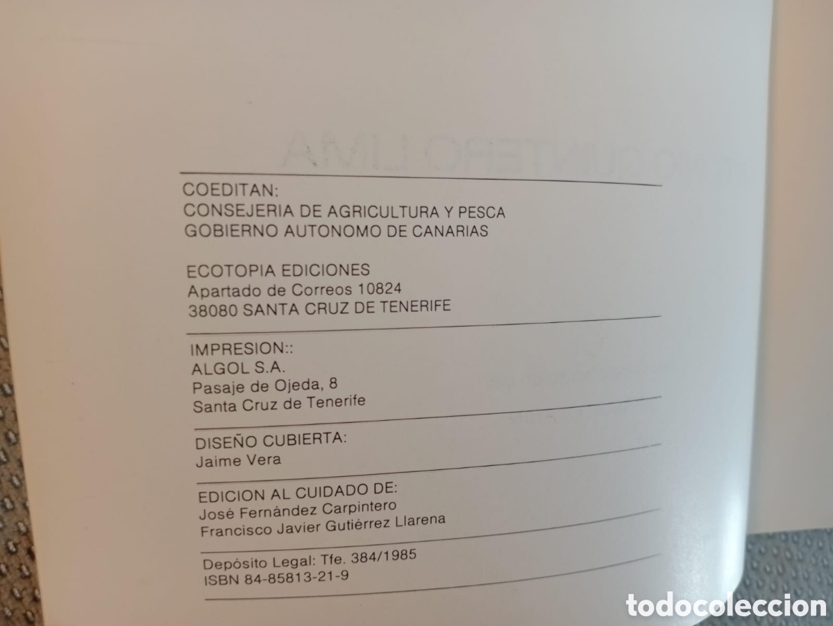 Libros: MIEL Y PALMA. La Gomera / ANTONIO QUINTERO LIMA. - Foto 2