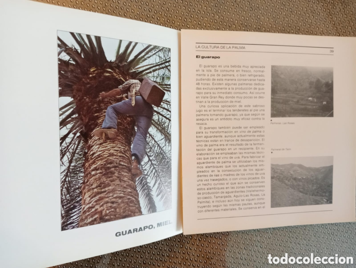 Libros: MIEL Y PALMA. La Gomera / ANTONIO QUINTERO LIMA. - Foto 3