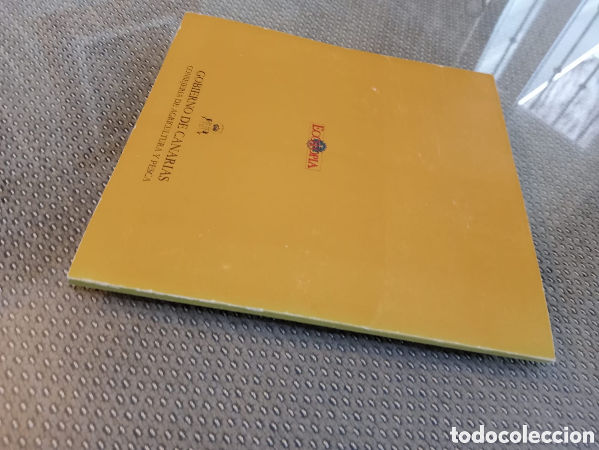Libros: MIEL Y PALMA. La Gomera / ANTONIO QUINTERO LIMA. - Foto 4