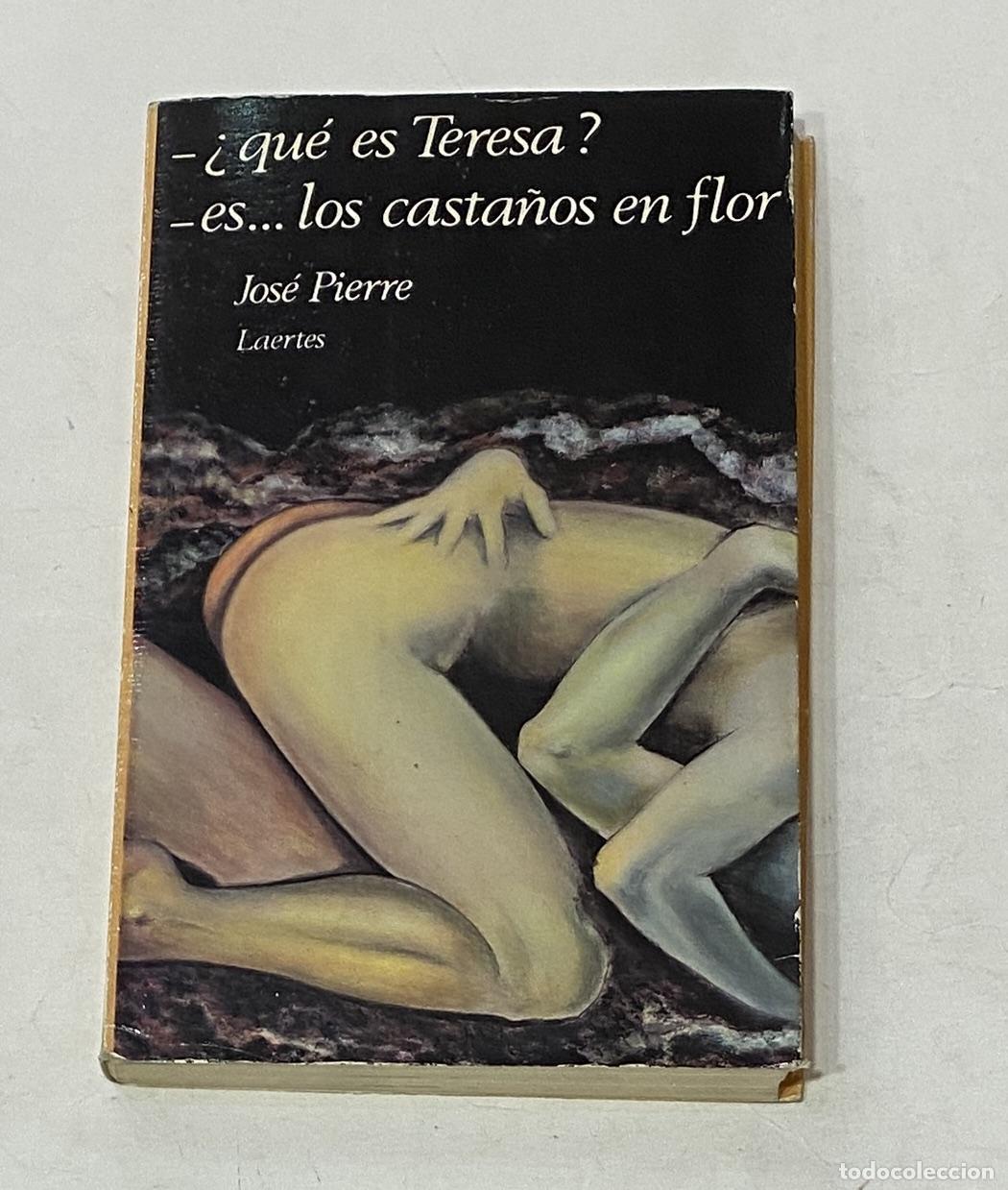 Libros: PIERRE, Jos&eacute;. - &iquest;Qu&eacute; es Teresa?. Es... los casta&ntilde;os en flor. - Foto 1