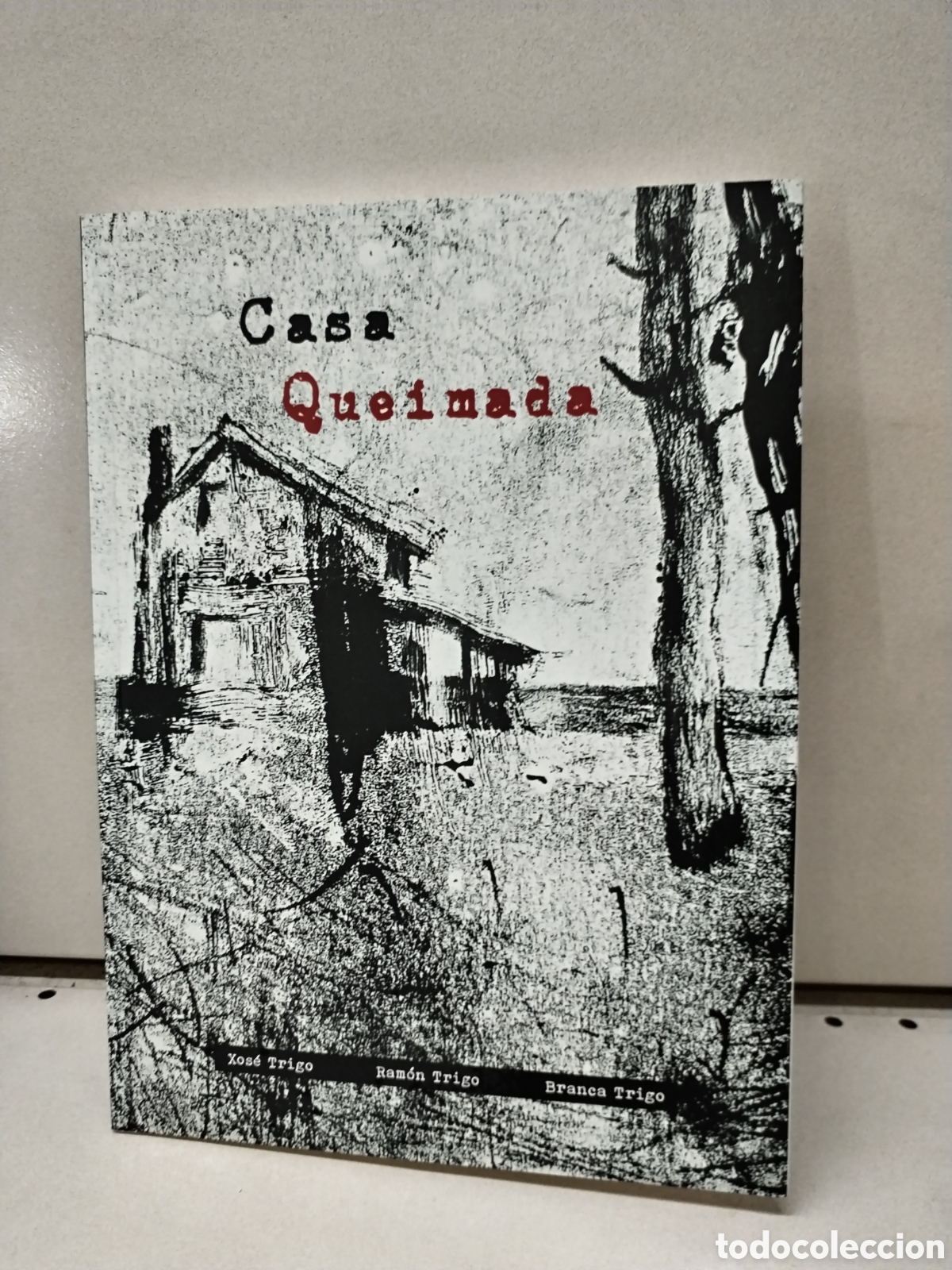 Libros: CASA QUEIMADA - XOSE TRIGO, RAMON TRIGO - Foto 1