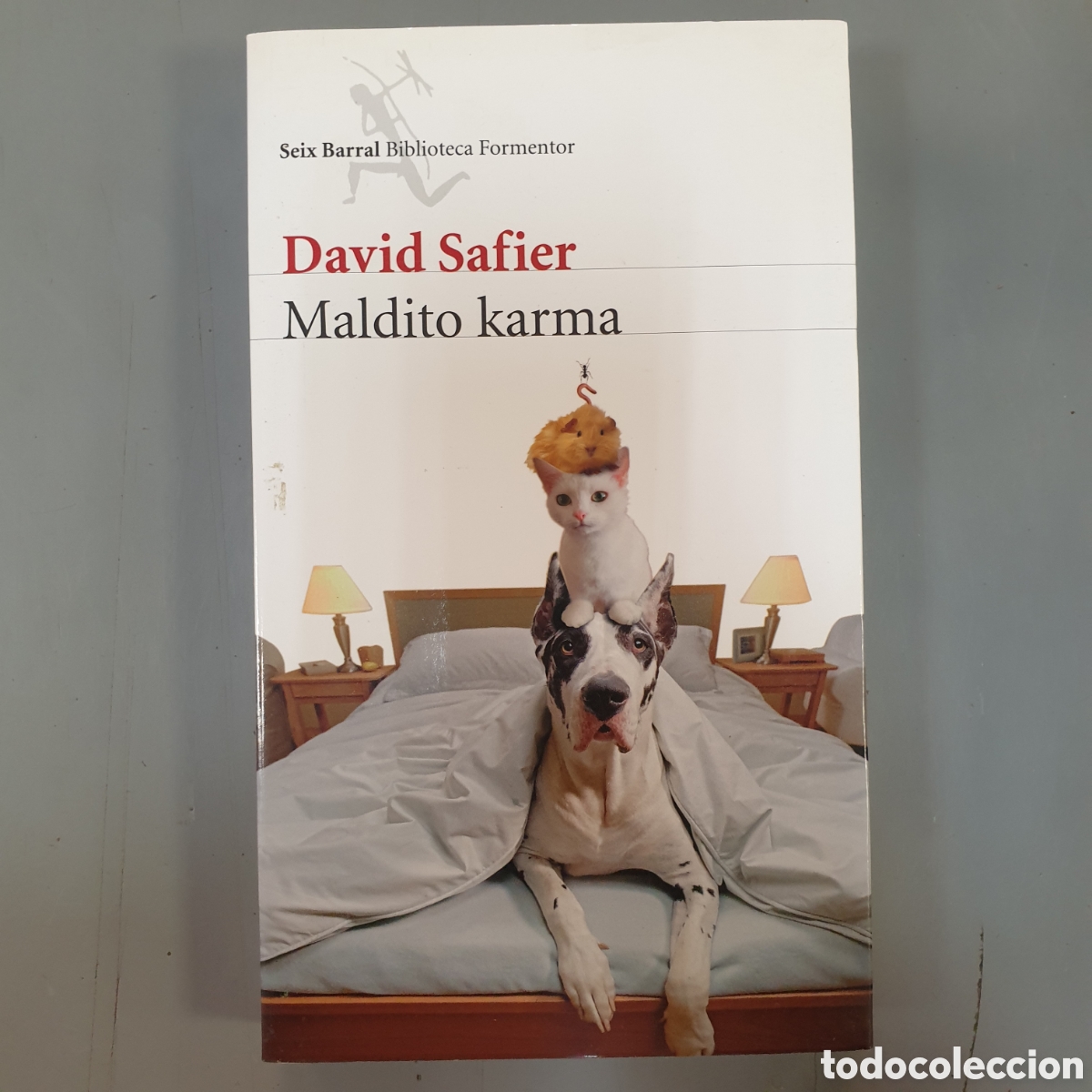 Libros: Maldito Karma David Safier - Foto 1
