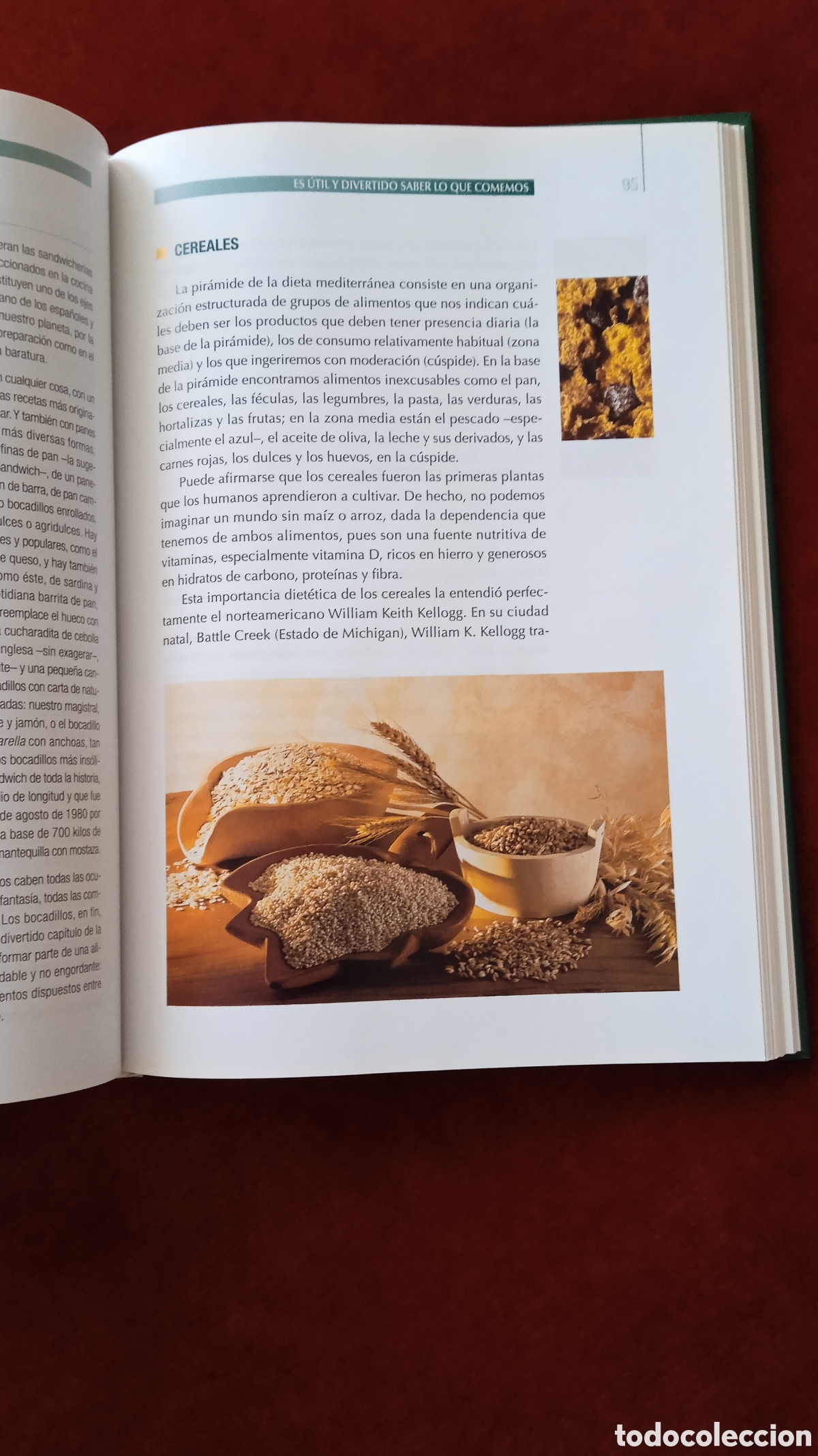 Libros: Adelgazar y mantener el peso perfecto - Foto 8