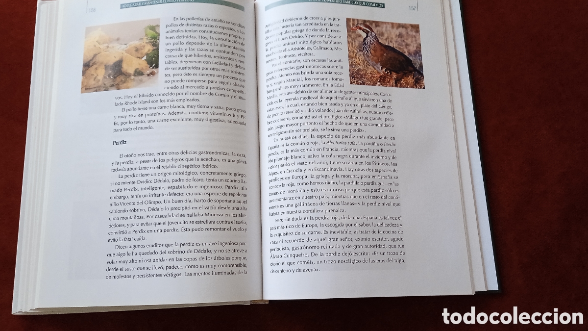 Libros: Adelgazar y mantener el peso perfecto - Foto 9