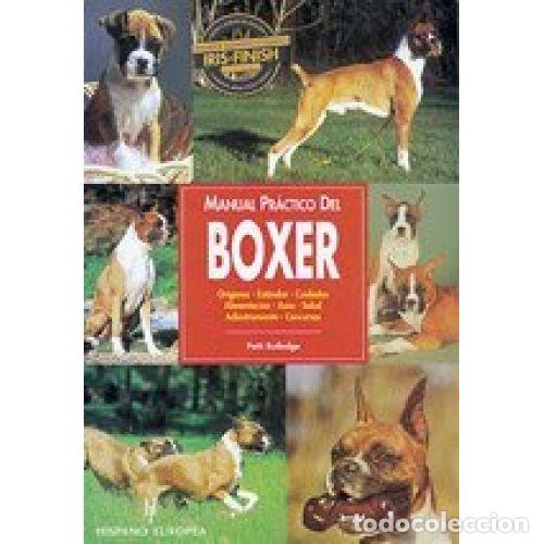 Libros: MANUAL PR&Aacute;CTICO del BOXER - RUTLEDGE. PATTI - Sin Especificar - Foto 1