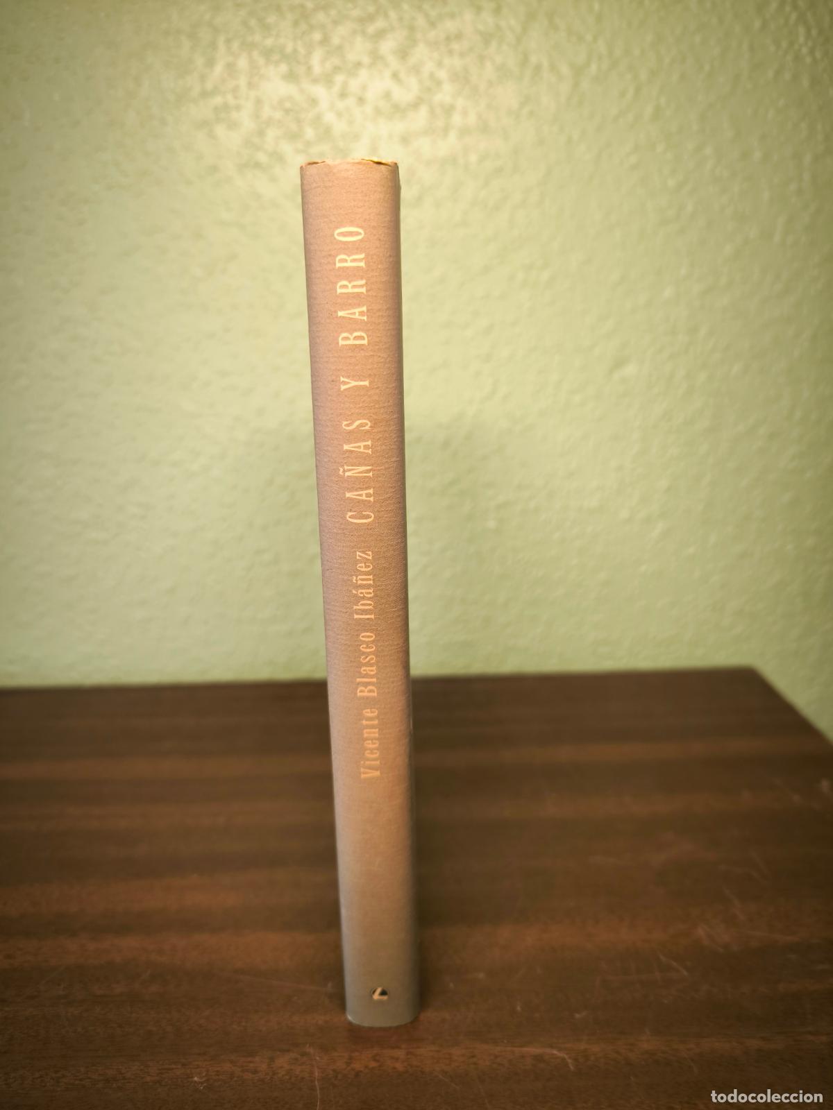 Libros: Ca&ntilde;as y Barro - Vicente Blasco Ib&aacute;&ntilde;ez - Foto 2