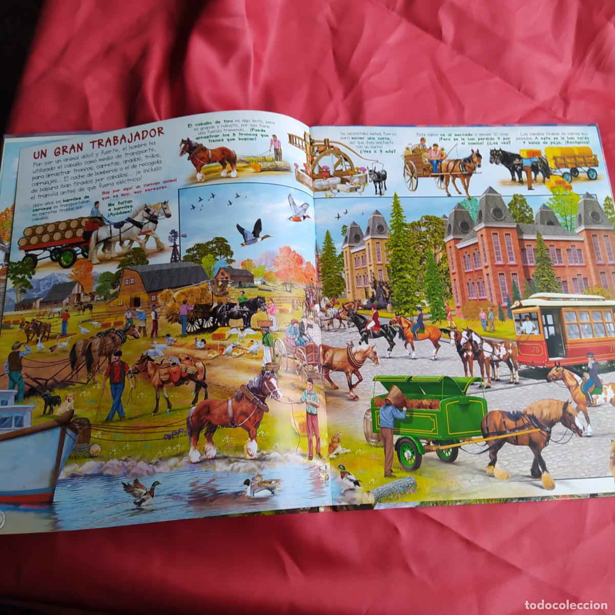 Libros: Busca los caballos y Ponis BA.1088 - Foto 2