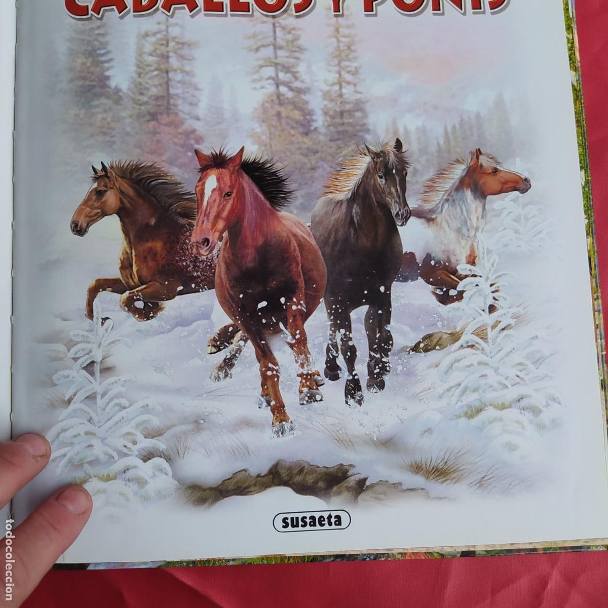 Libros: Busca los caballos y Ponis BA.1088 - Foto 4