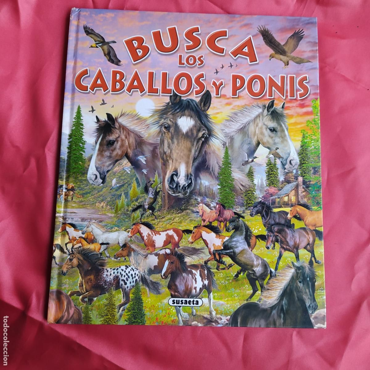 Libros: Busca los caballos y Ponis BA.1088 - Foto 1