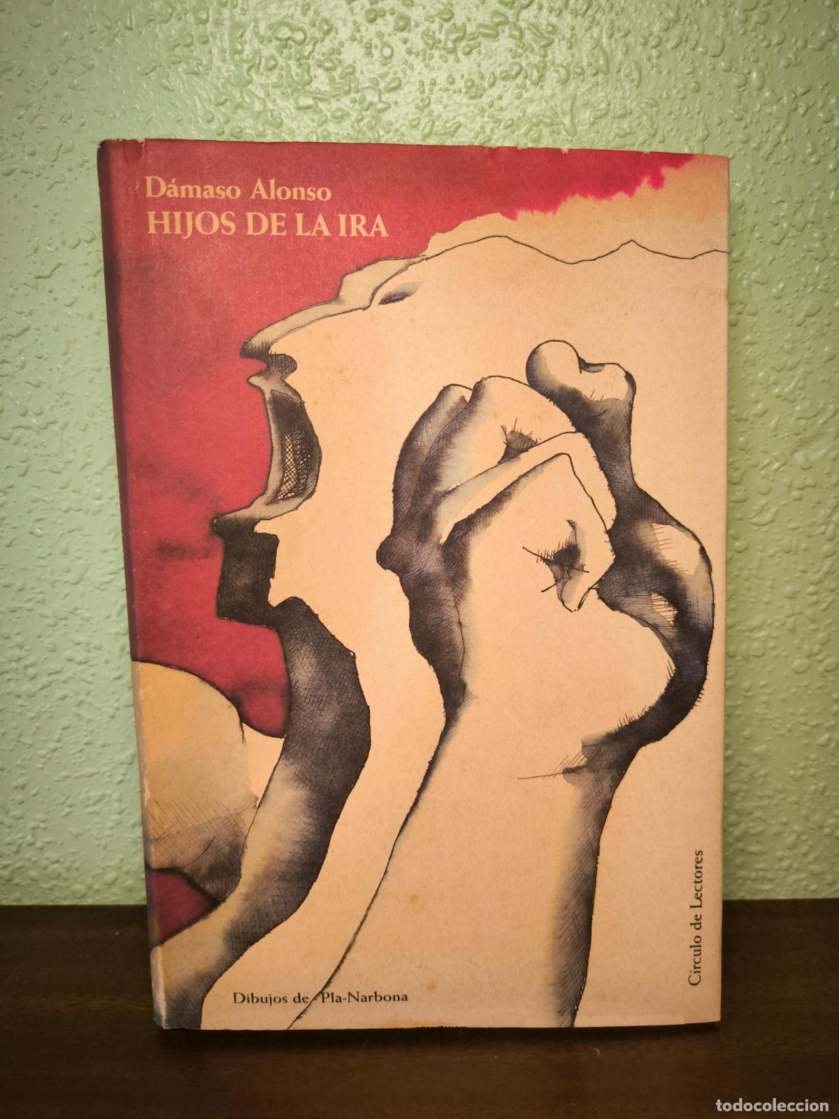 Libros: Hijos de la Ira - D&aacute;maso Alonso - Foto 1