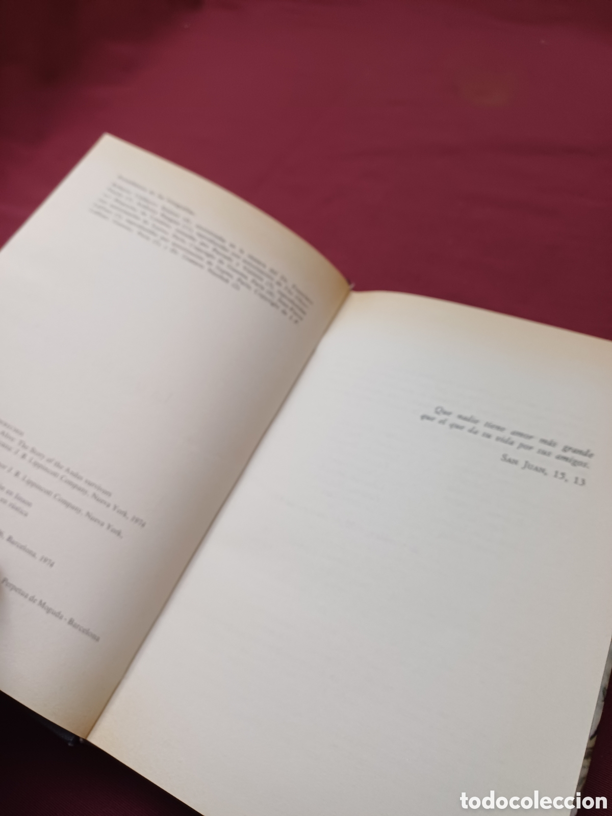 Libros: VIVEN, LA TRAGEDIA DE LOS ANDES, ED. NOGUER, 1976 - Foto 6