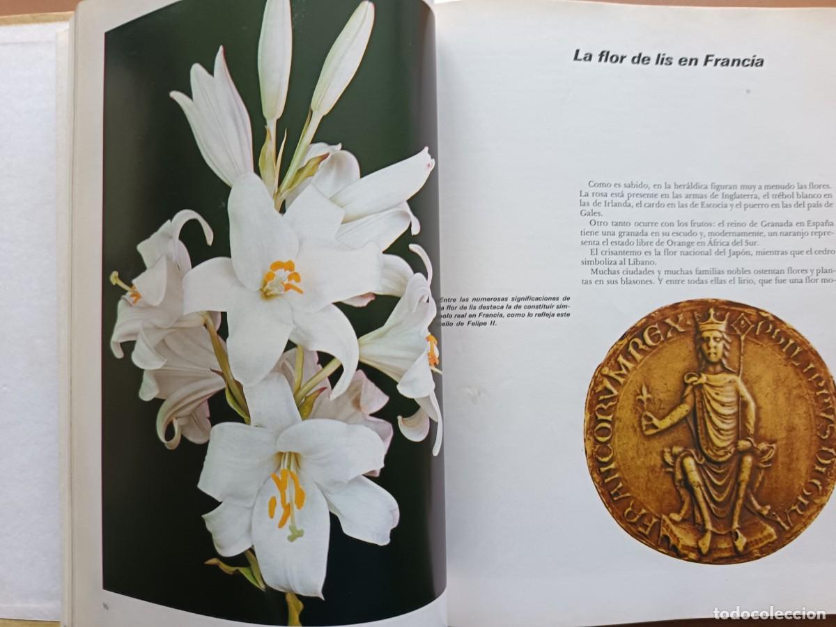 Libros: HISTORIA, MITO Y PRESENCIA DE LA FLOR - Foto 2
