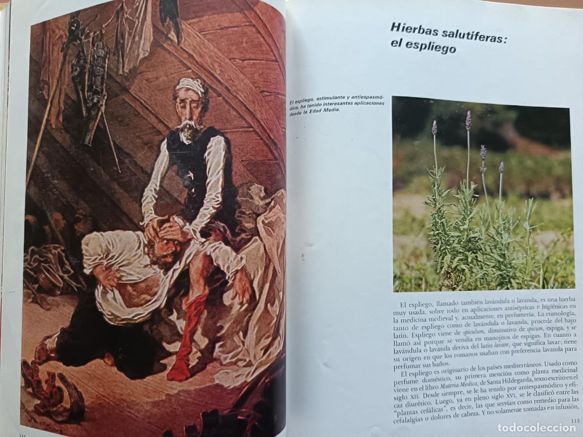 Libros: HISTORIA, MITO Y PRESENCIA DE LA FLOR - Foto 3