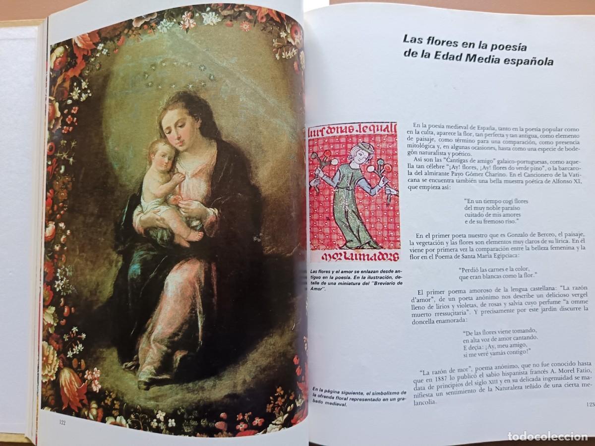 Libros: HISTORIA, MITO Y PRESENCIA DE LA FLOR - Foto 4