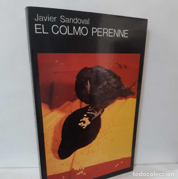 Libros: EL COLMO PERENNE - SANDOVAL, JAVIER - Foto 1
