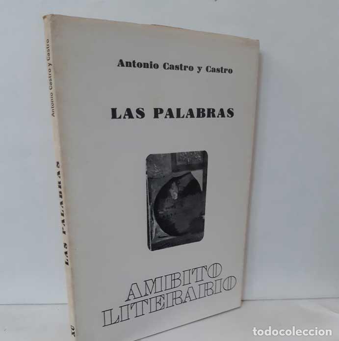 Libros: LAS PALABRAS - CASTRO Y CASTRO, ANTONIO - Foto 1
