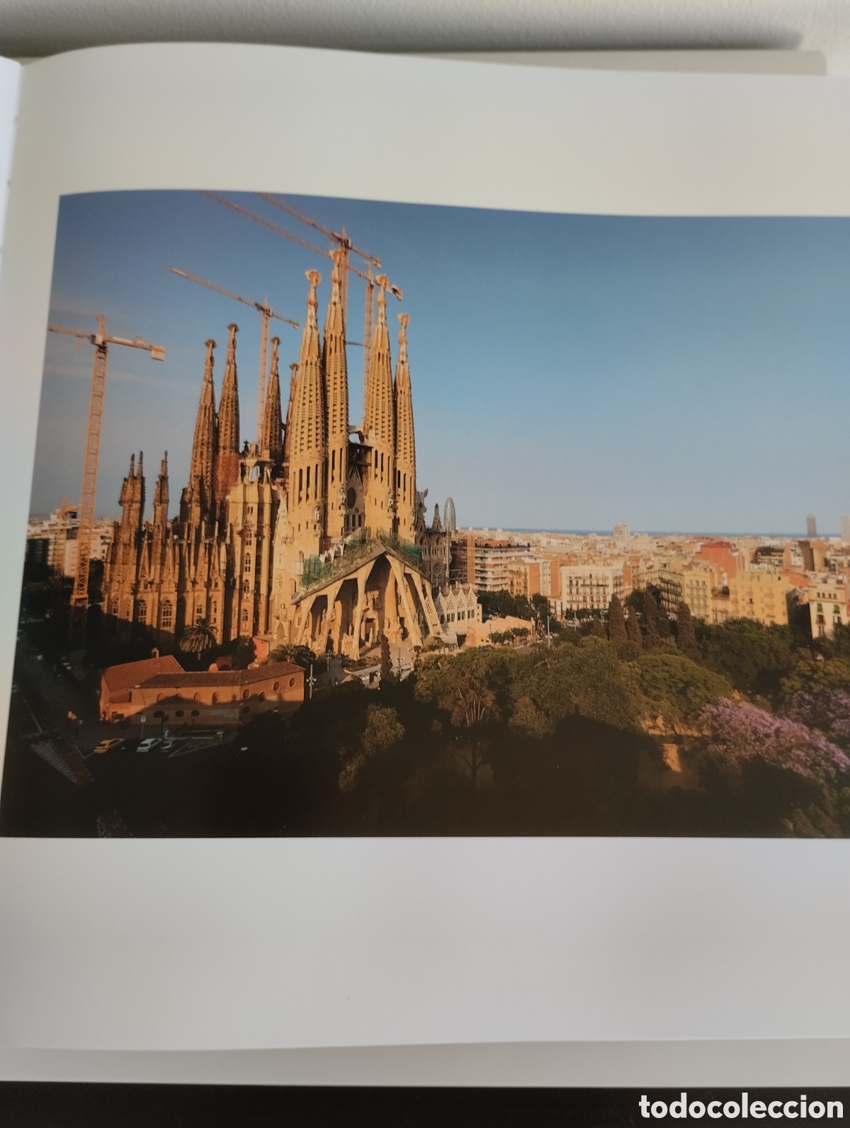 Libros: Libro Halcones de Barcelona. Oriol Alamany. 126 paginas. - Foto 5