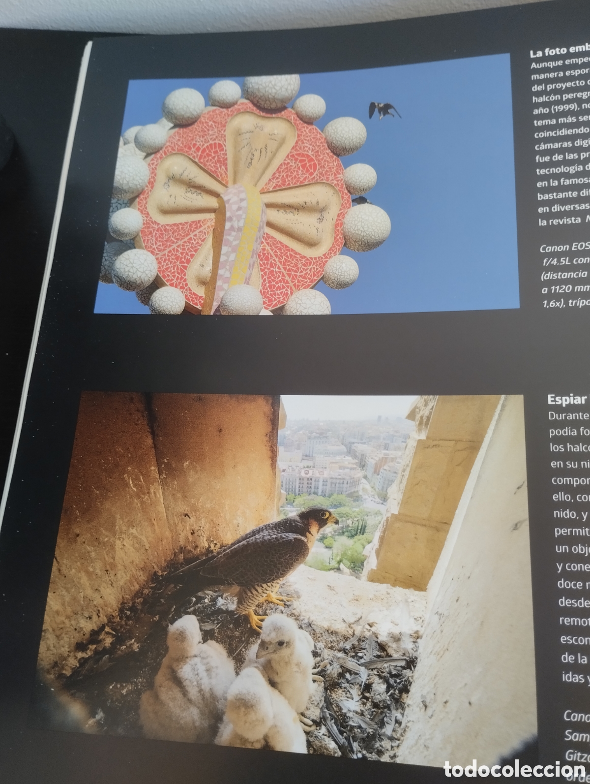 Libros: Libro Halcones de Barcelona. Oriol Alamany. 126 paginas. - Foto 8