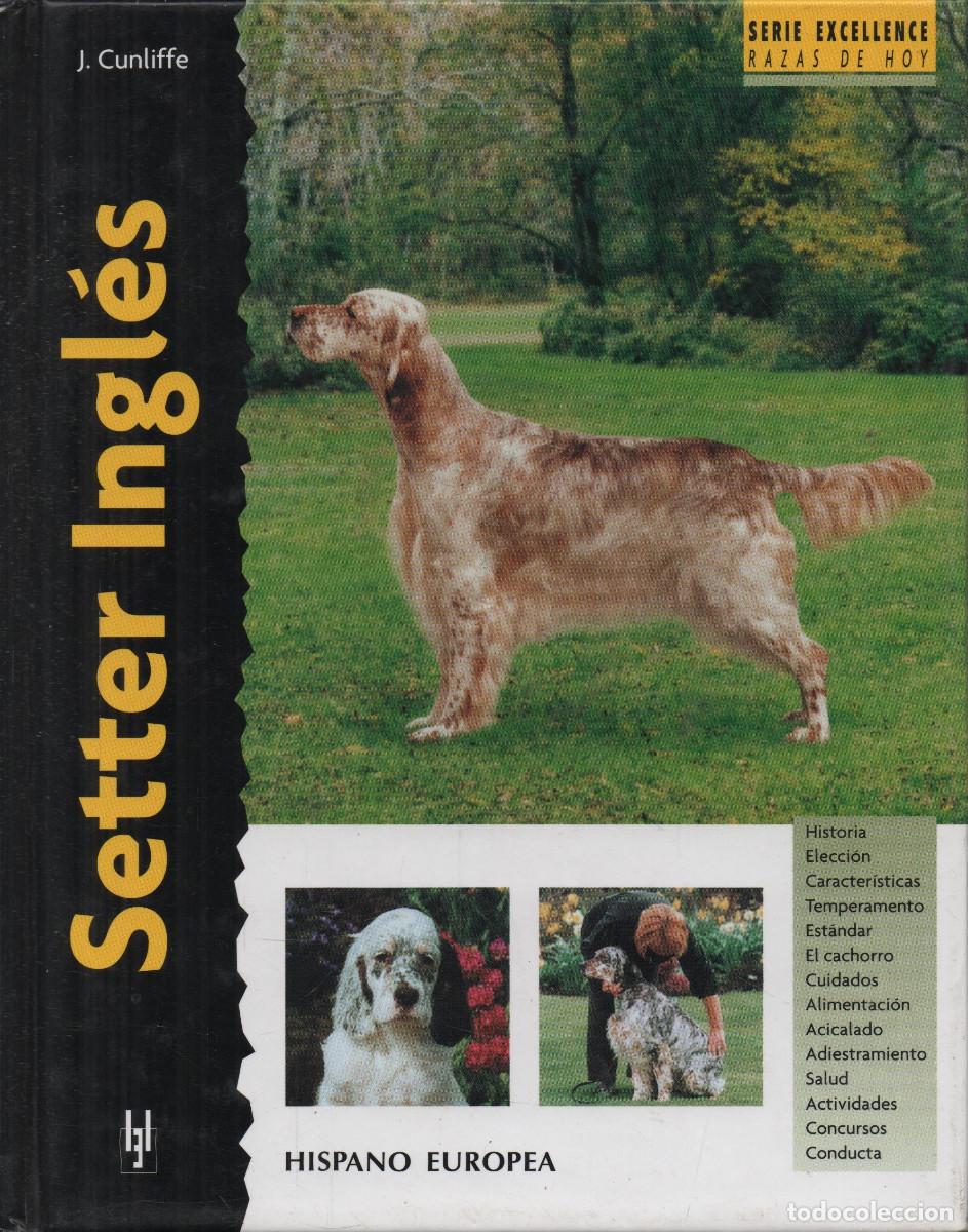 Libros: Setter Ingl&eacute;s. J.Cunliffe. Hispano Europea. 2002. - Foto 1