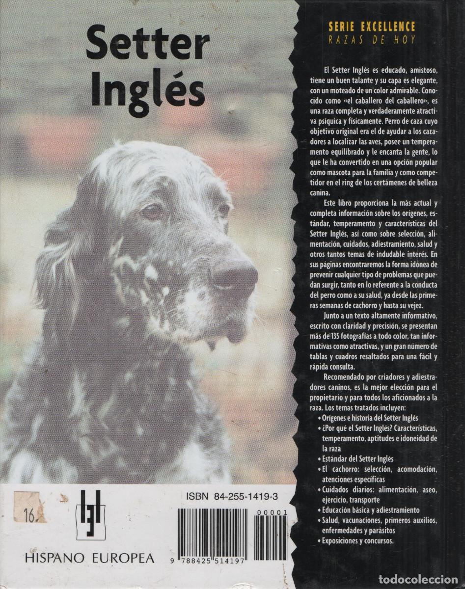 Libros: Setter Ingl&eacute;s. J.Cunliffe. Hispano Europea. 2002. - Foto 2
