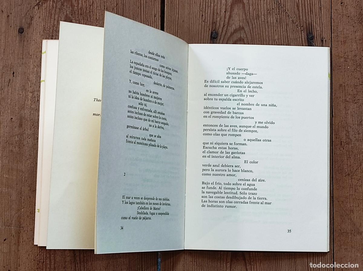 Libros: JUNTO AL AGUA - Trapiello, Andr&eacute;s - Foto 3