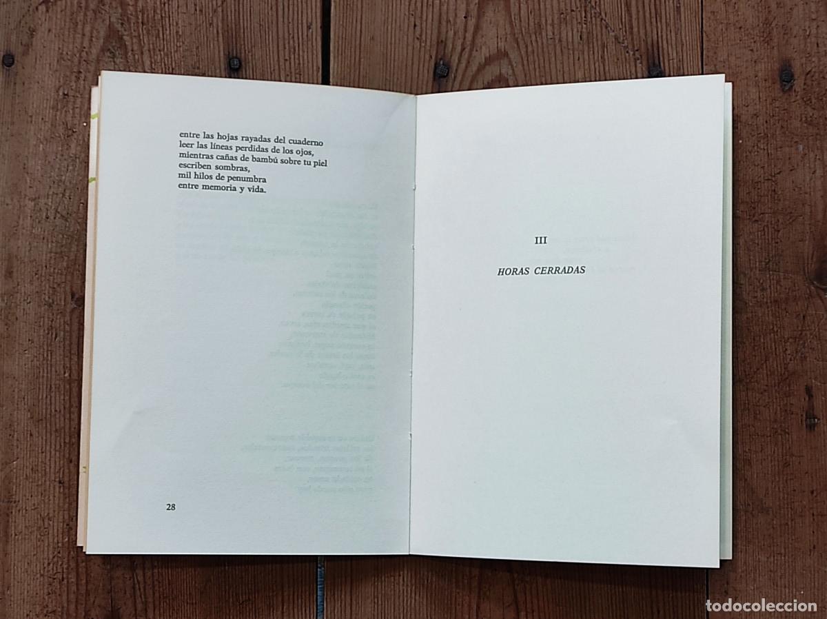 Libros: JUNTO AL AGUA - Trapiello, Andr&eacute;s - Foto 4
