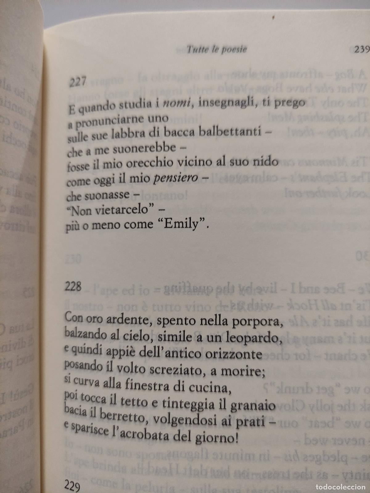 Libros: TUTTE LE POESIE - DICKINSON - Foto 3