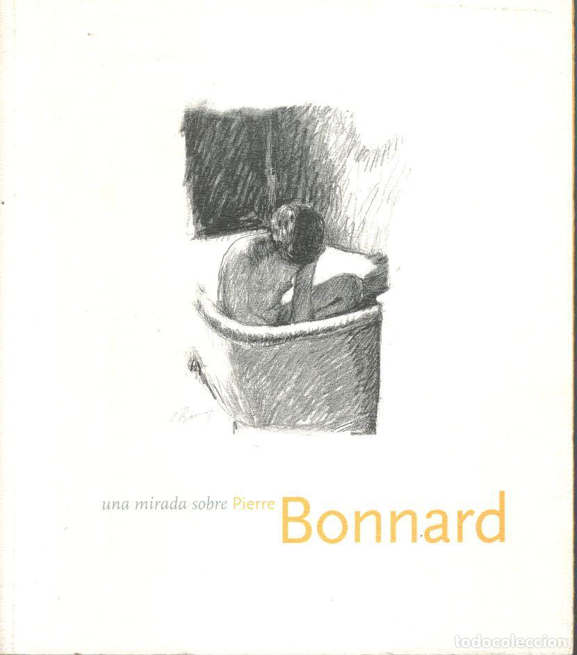 Libros: UNA MIRADA SOBRE PIERRE BONNARD. - VV. AA. - Foto 1