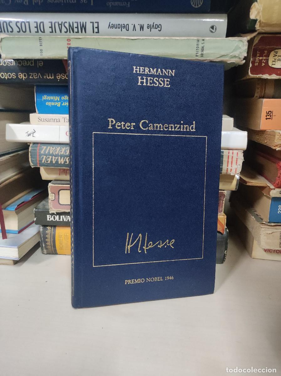 Libros: PETER CAMENZIND HERMANN HESSE - Foto 1