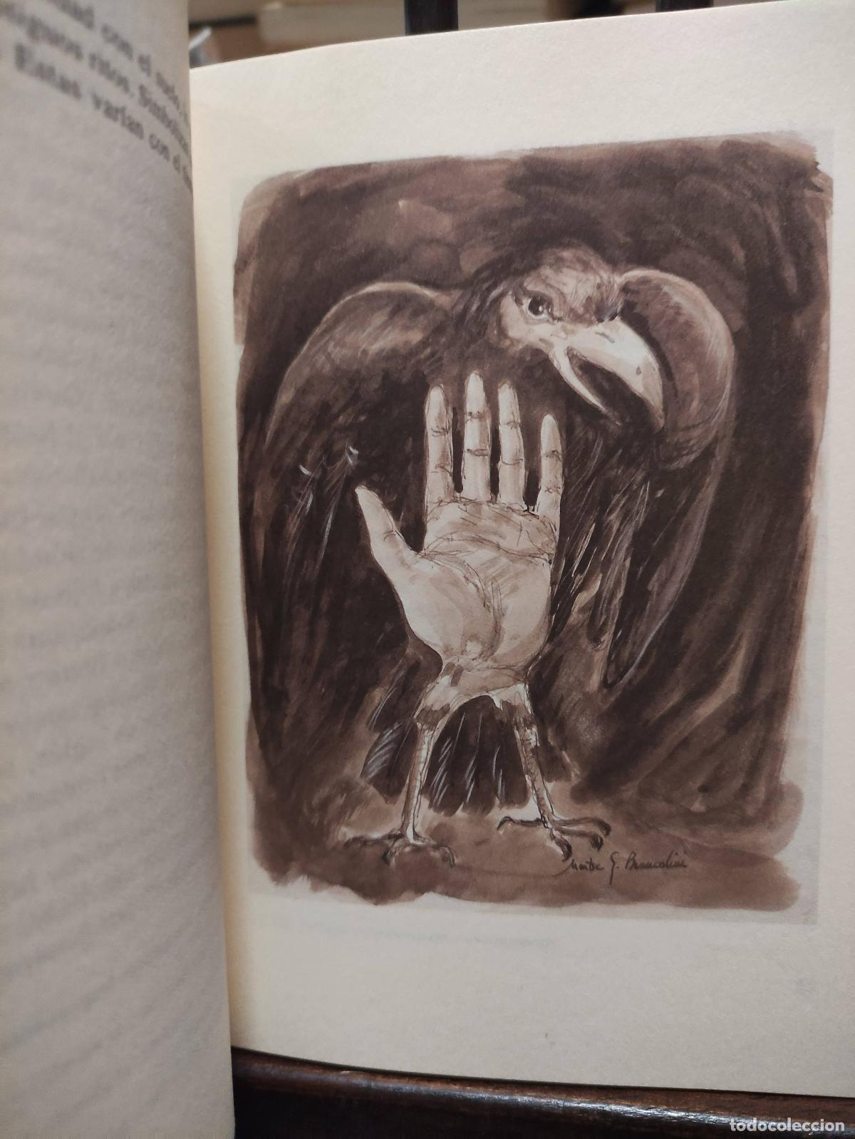 Libros: MANUSCRITO CUERVO - HISTORIA DE JACOBO - MAX AUB - Foto 2