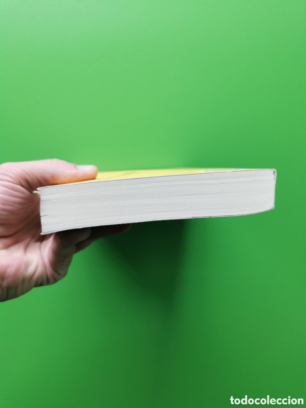 Libros: EL SOMNI DEL POBLE DING Yan Lianke - Foto 4