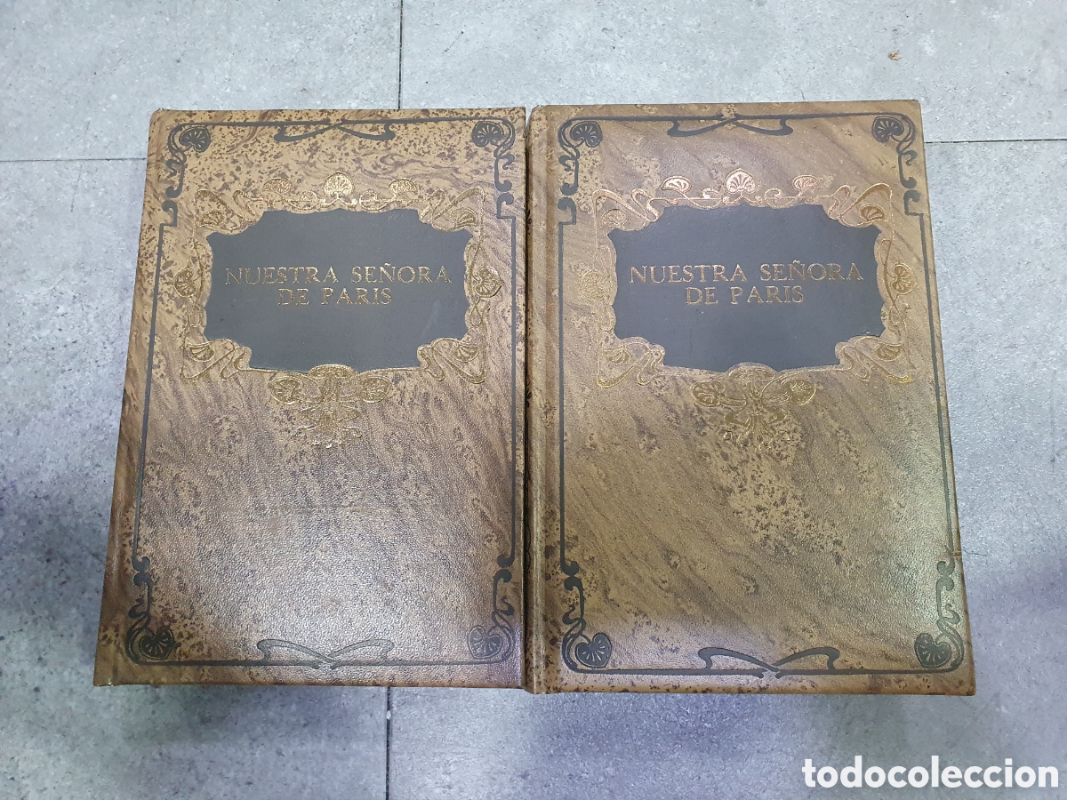 Libros: Nuestra se&ntilde;ora de Par&iacute;s. V&iacute;ctor Hugo. Ed. Dalmau. (L98) - Foto 1
