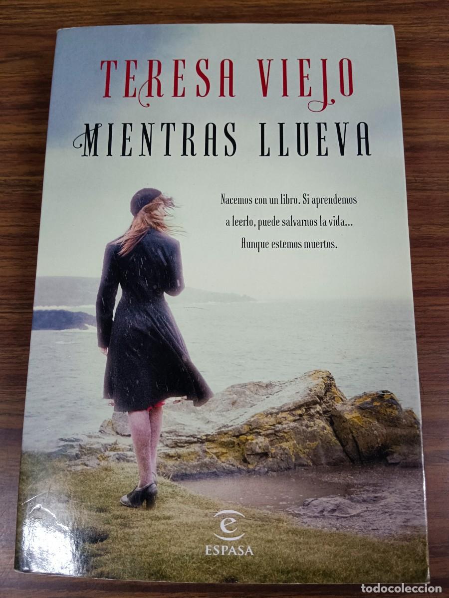 Libros: MIENTRAS LLUEVA - Teresa Viejo - Foto 1