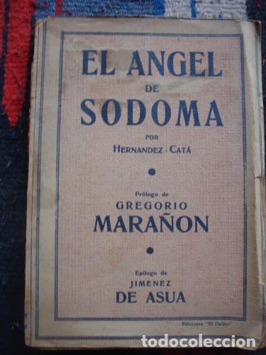 Libros: HERN&Aacute;NDEZ-CAT&Aacute;, ALFONSO - El &Aacute;ngel de Sodoma. Novela. - Foto 1