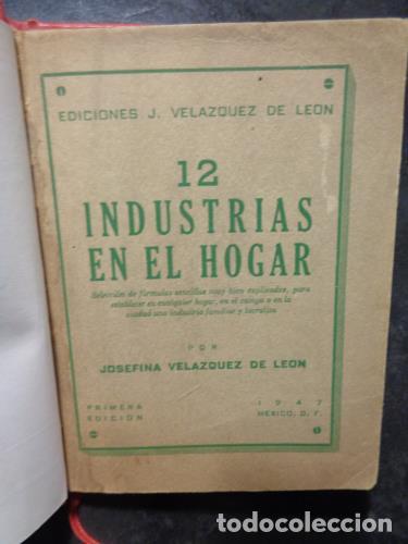 Libros: VEL&Aacute;ZQUEZ DE LE&Oacute;N DE GONZ&Aacute;LEZ, JOSEFINA - 12 industrias en el hogar