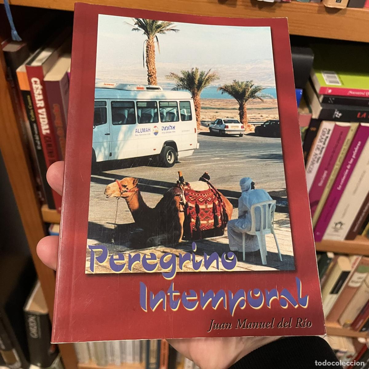 Libros: Peregrino intemporal - Juan Manuel del R&iacute;o - Foto 1