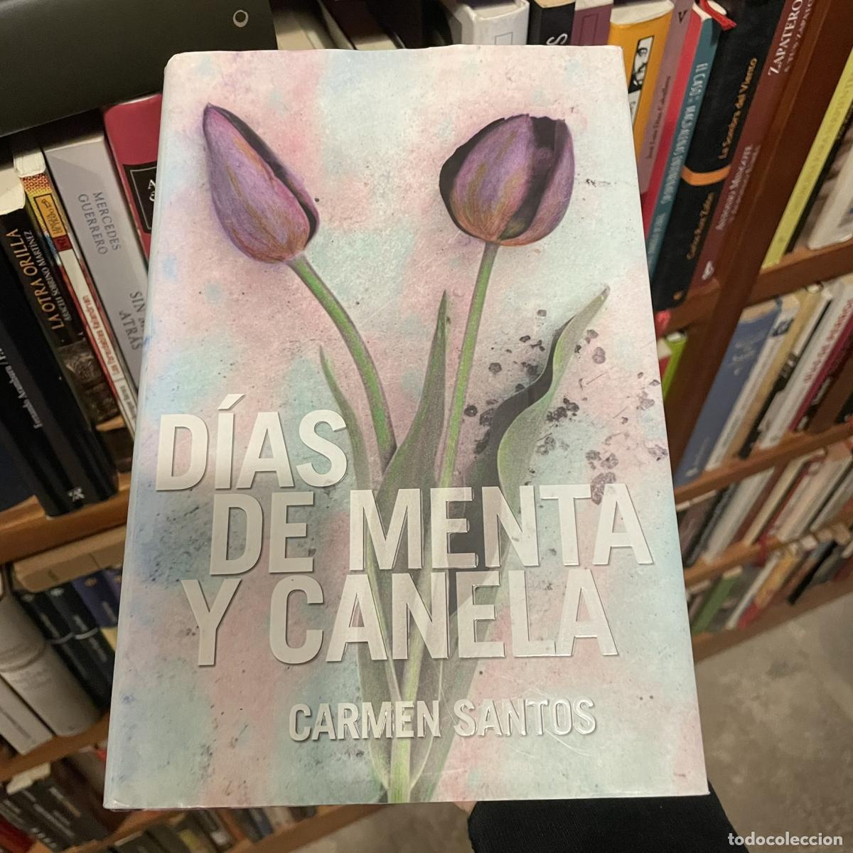 Libros: D&iacute;as de menta y canela - Carmen Santos - Foto 1
