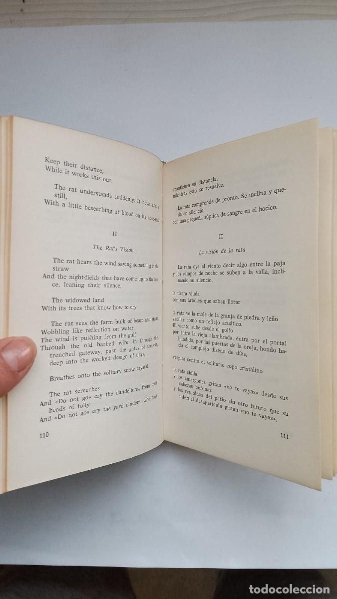Libros: Antolog&iacute;a Po&eacute;tica - Ted Hugues - Foto 2