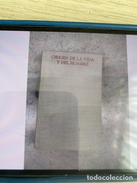 Libros: ORIGEN DE LA VIDA Y DEL HOMBRE - ADOLF HAAS - Foto 1