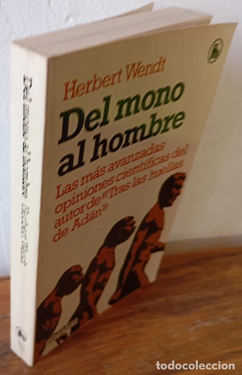 Libros: DEL MONO AL HOMBRE - HERBERT WENDT - Foto 1
