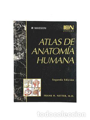 Libros: NETTER ATLAS ANATOMIA 2 ED. - MASSON, V.W. - Foto 1