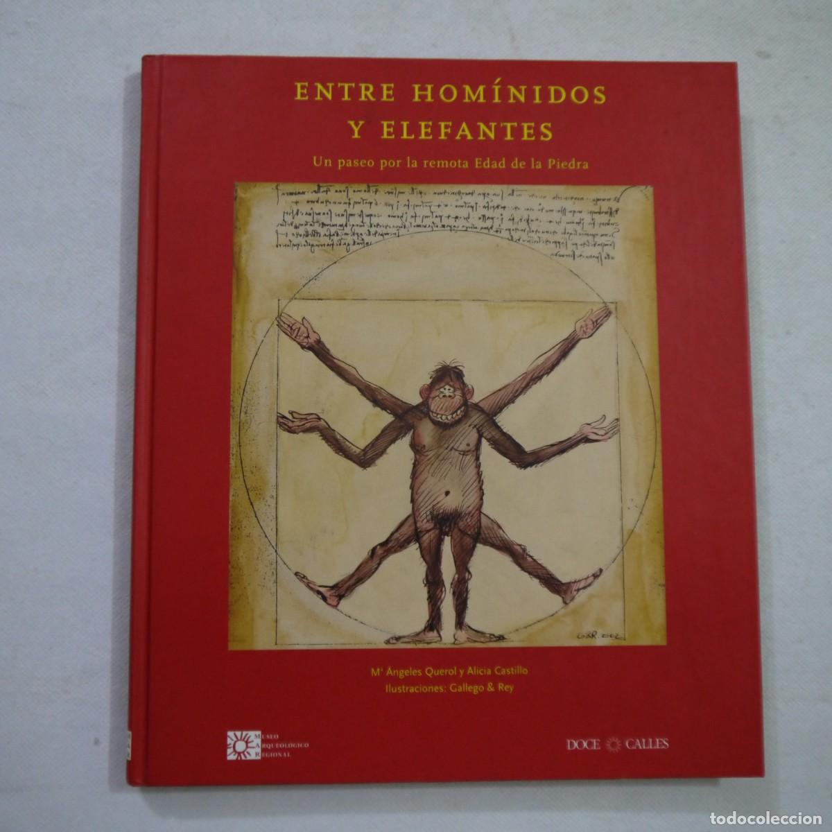Livres: ENTRE HOM&Iacute;NIDOS Y ELEFANTES. UN PASEO POR LA REMOTA EDAD DE LA PIEDRA - M.&ordf; A. QUEROL Y A. CASTILLO
