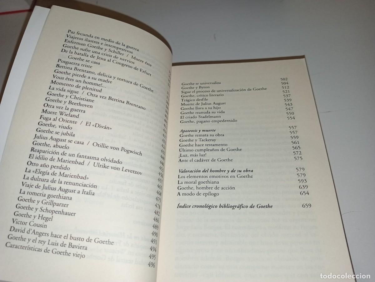 Libros: Goethe. Una biograf&iacute;a - Foto 11