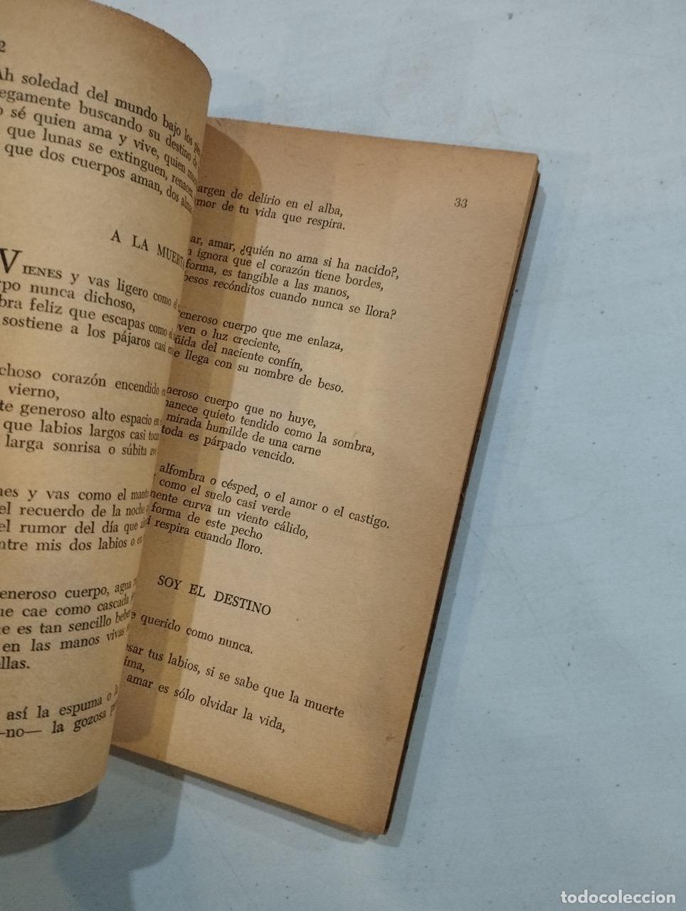 Libros: Vicente Aleixandre - Poemas amorosos - Foto 2