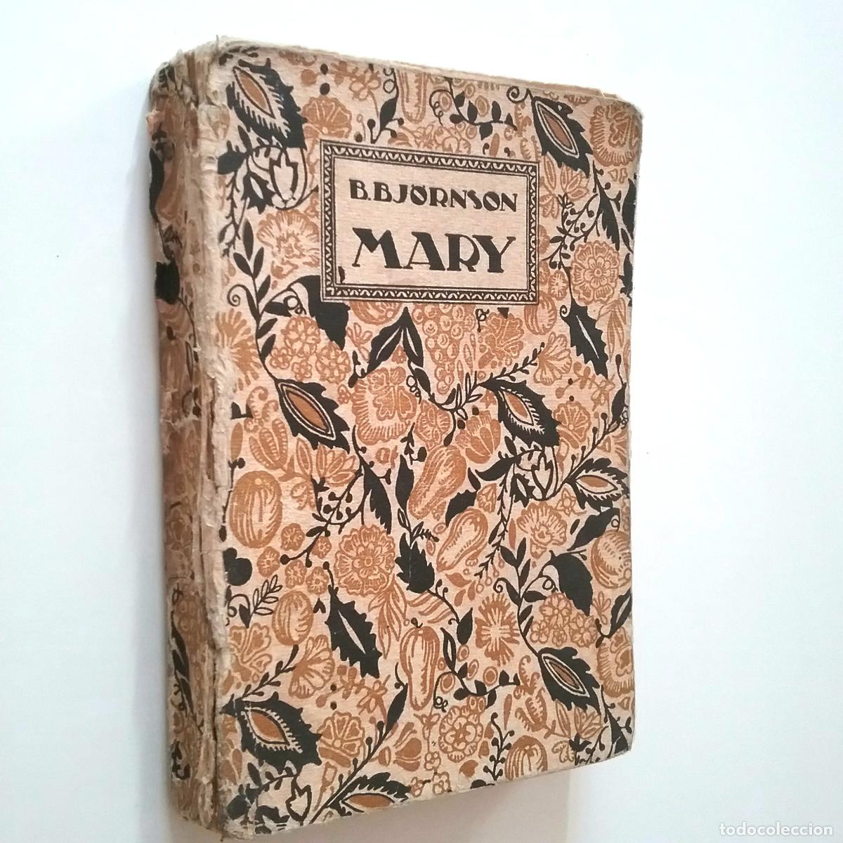 Libros: Bj&ouml;rnstjerne Bj&ouml;rnson - Mary - Foto 1