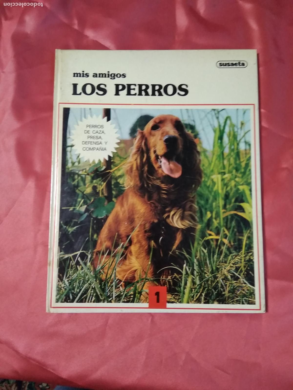Libros: Mis amigos los perros A. M. Franci Q.220 - Foto 1