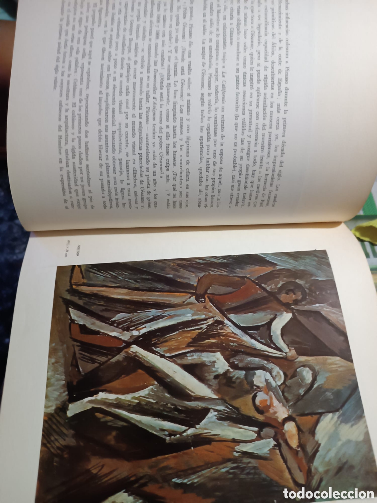 Libros: Los Picasso de Picasso - Foto 7