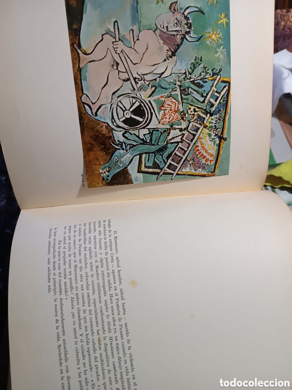 Libros: Los Picasso de Picasso - Foto 11